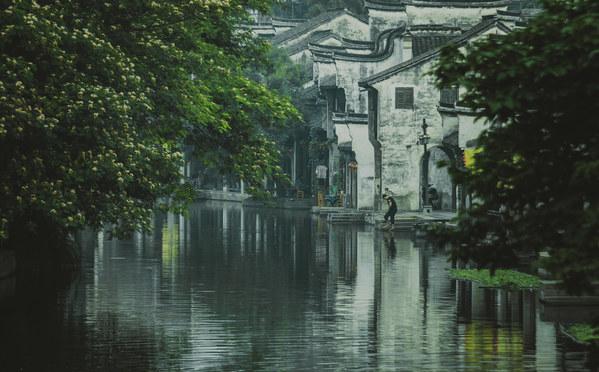 梦幻糖果森林逃生